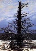 Caspar David Friedrich The Oaktree in the Snow china oil painting artist